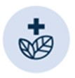 Antipyretic & Antioxidant